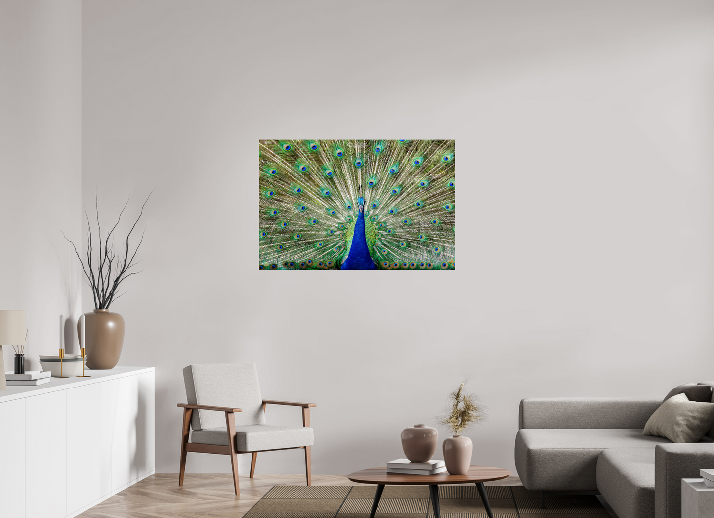 (08C) Peacock Display