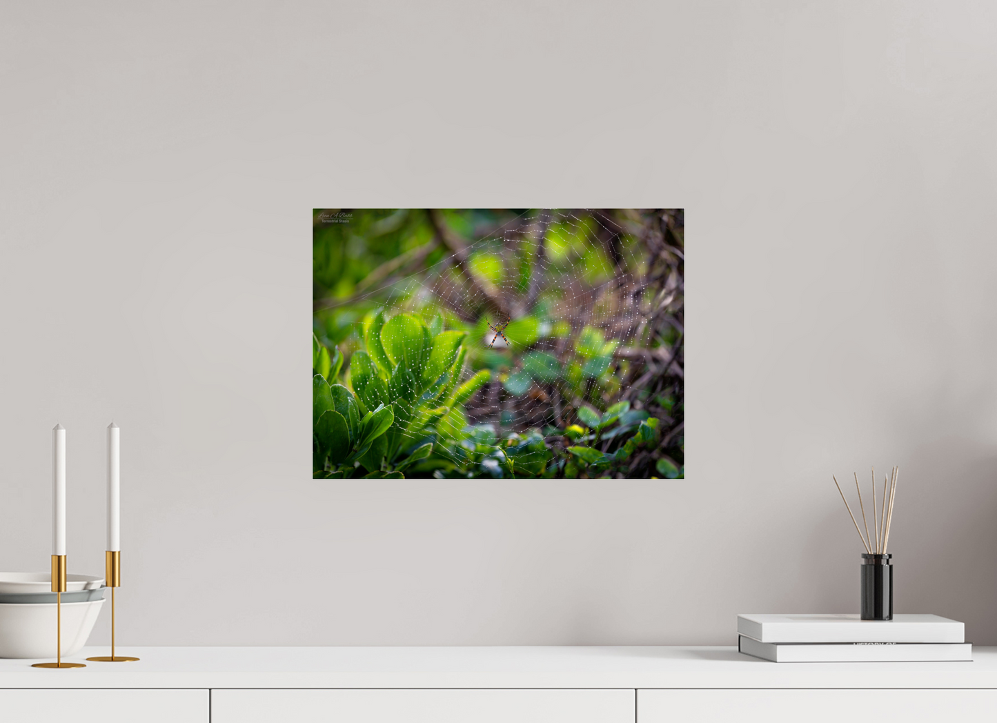 16.5 x 12″, Photo Print Under Acrylic Glass Hawaiian Garden Spider Web