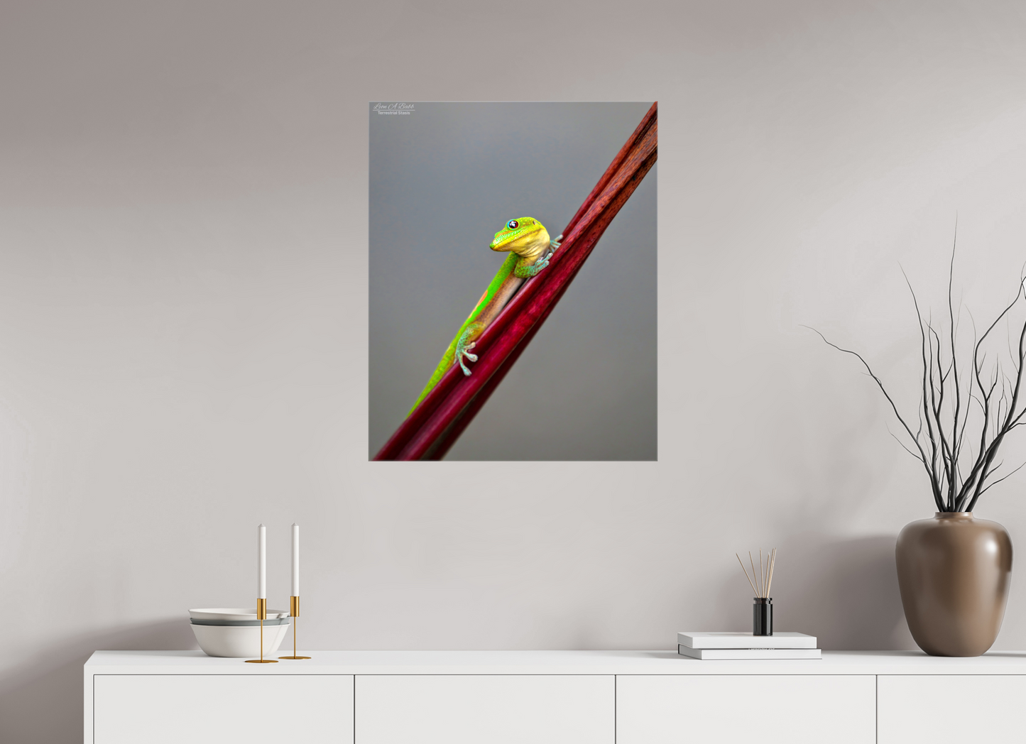 24 x 30″, Glossy Canvas Stretcher Frame with Mirrored Edges (08R) Focused Stare