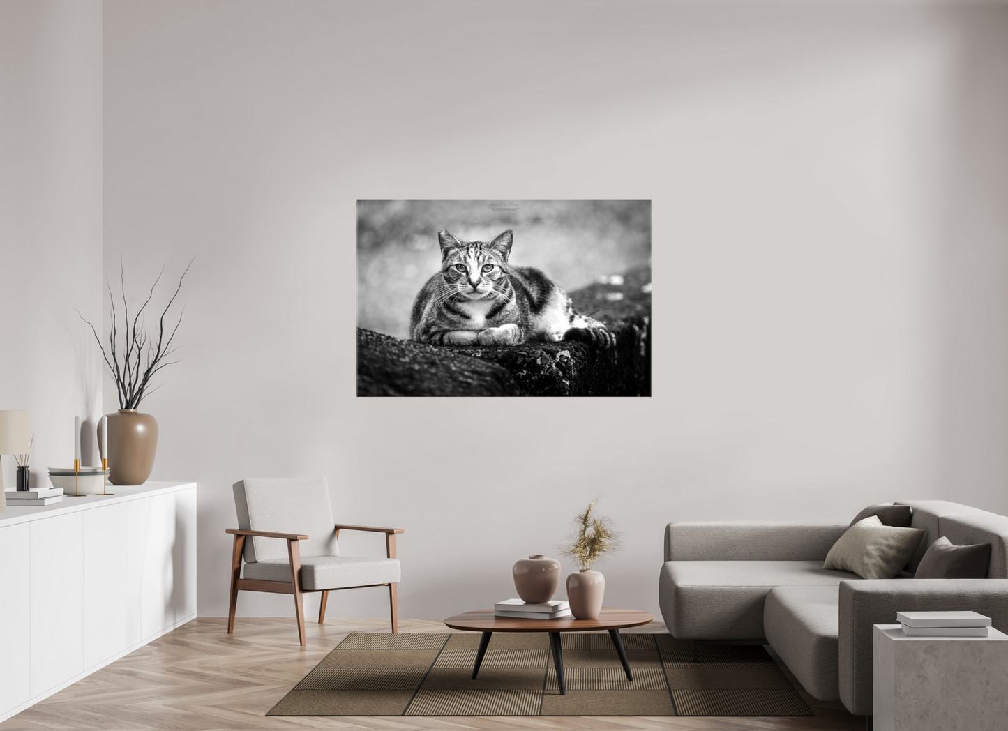 (08G) Hawaii Strays in BnW