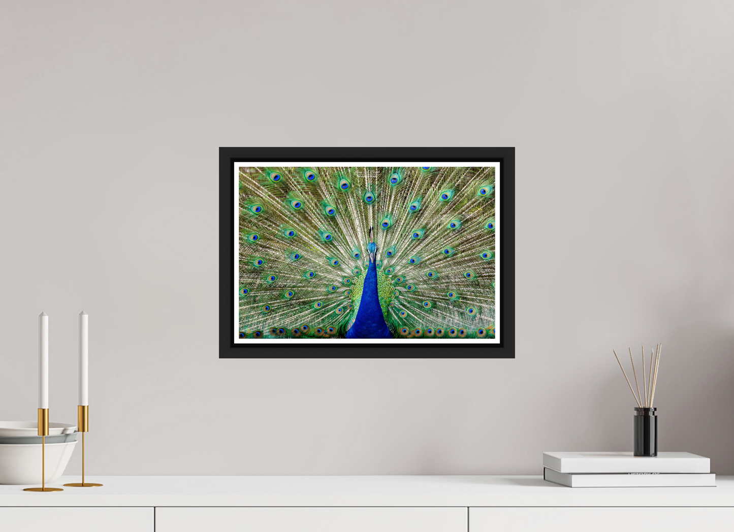 15 x 10″, Black Matte Floater Frame with Acrylic Glass (08C) Peacock Display
