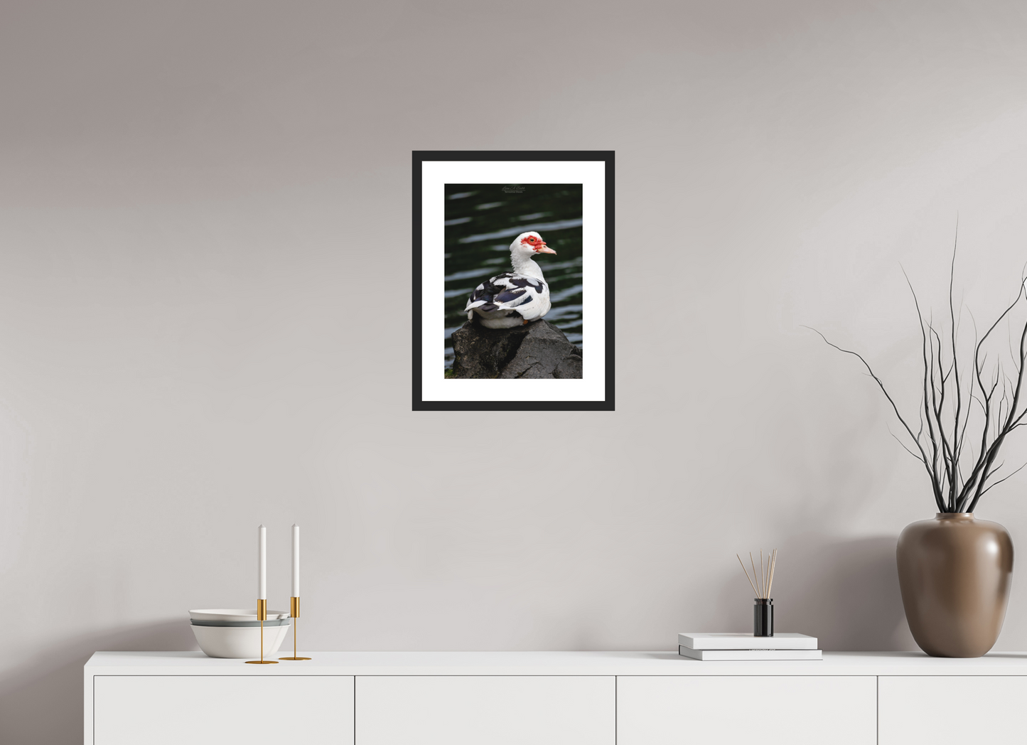 12 x 16.8″, Classic Black Matte Wood Frame (08T) Female Muscovy Duck Portrait