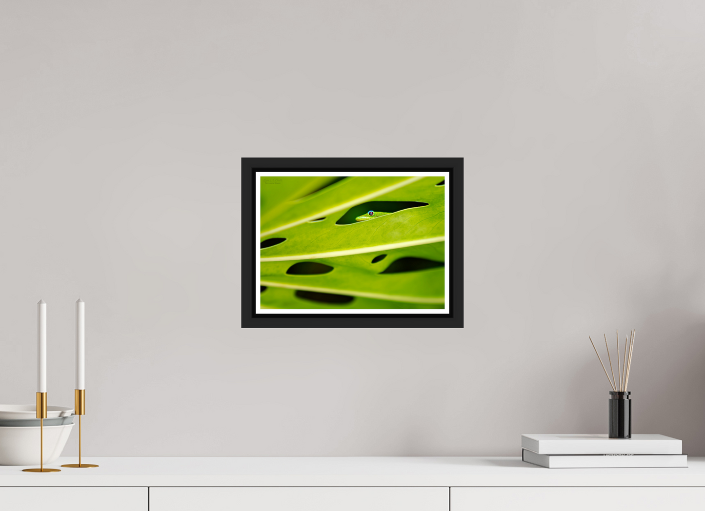 11.2 x 8″, Black Matte Floater Frame with Acrylic Glass (08F) Tiny Explorer