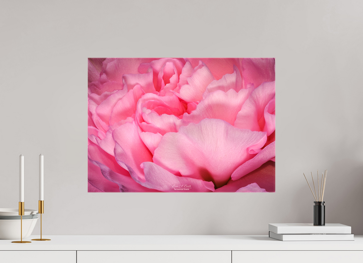 22.4 x 16″, Glossy Canvas Stretcher Frame with Mirrored Edges Radiant Pink Petals