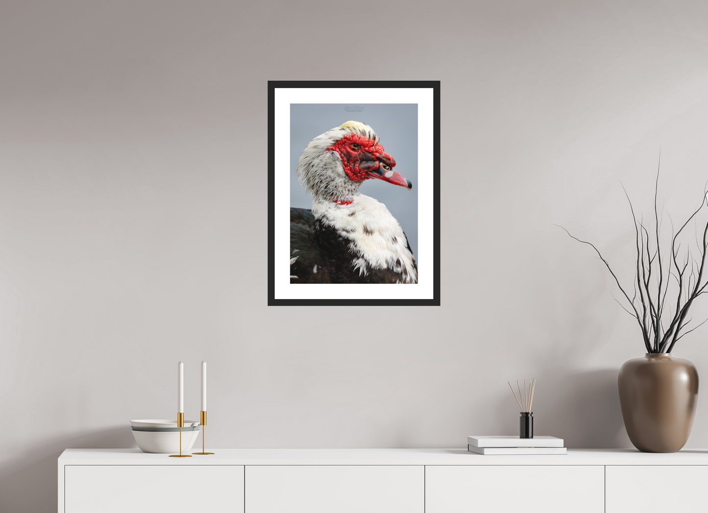 16 x 22.4″, Classic Black Matte Wood Frame (08S) Male Muscovy Duck Portrait