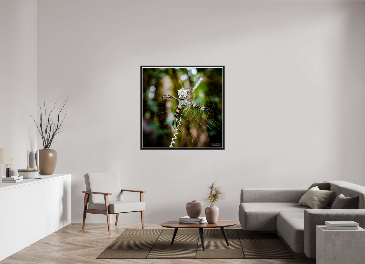 45 x 45″, Black Matte Floater Frame with Acrylic Glass (09A) Spider on the trail