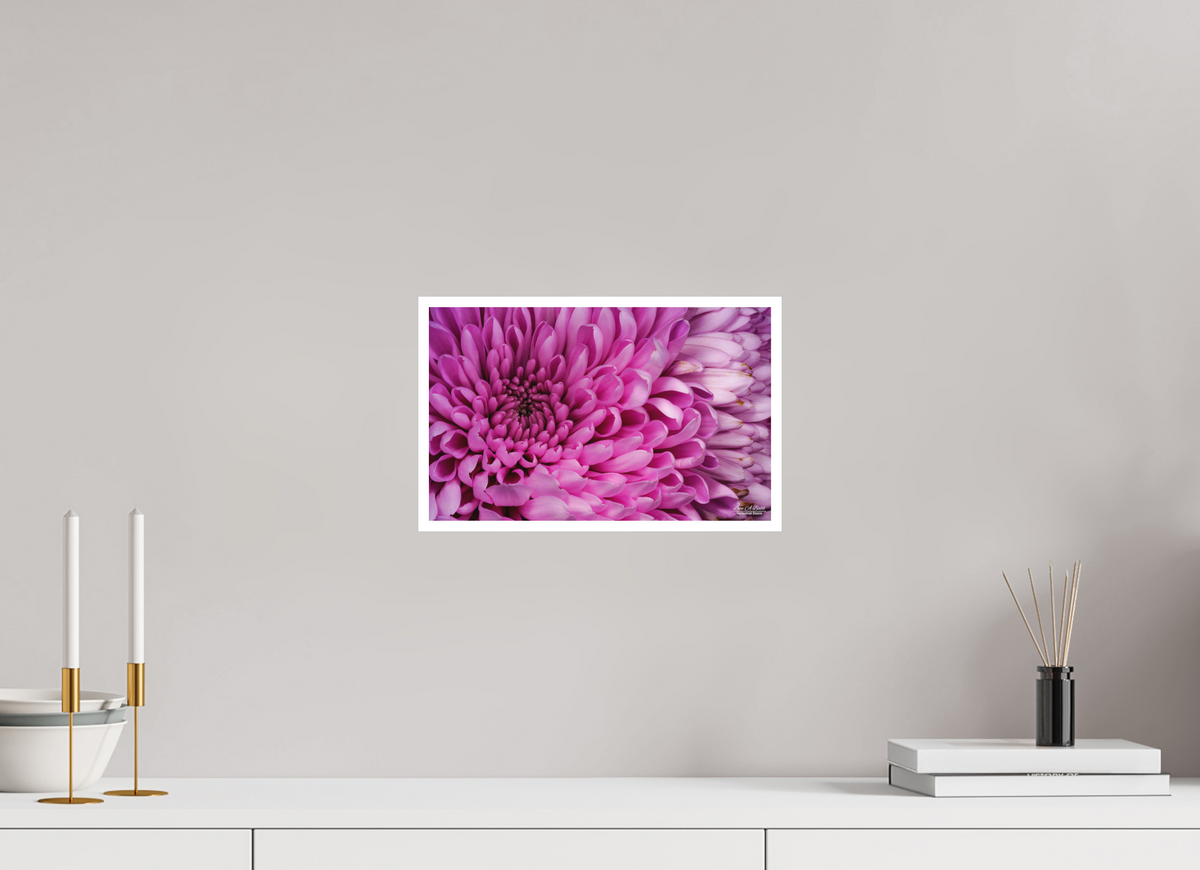 12.8 x 8″, Print with Matte Lamination ???