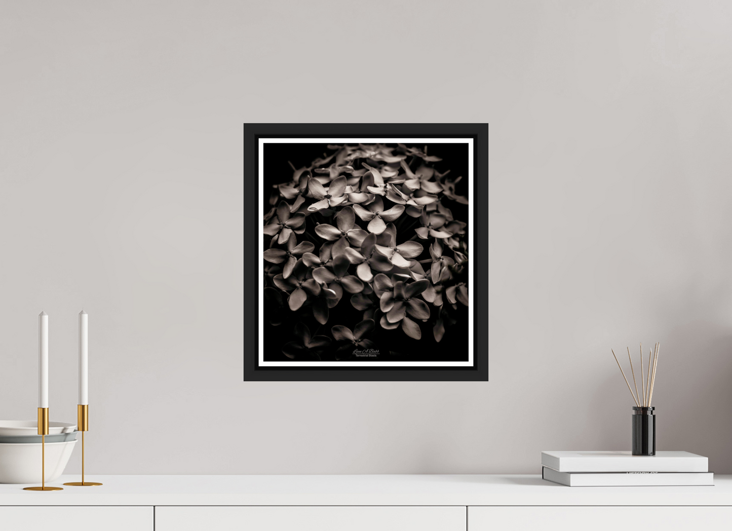 12 x 12.8″, Black Matte Floater Frame with Acrylic Glass (07D) Monochrome Garden