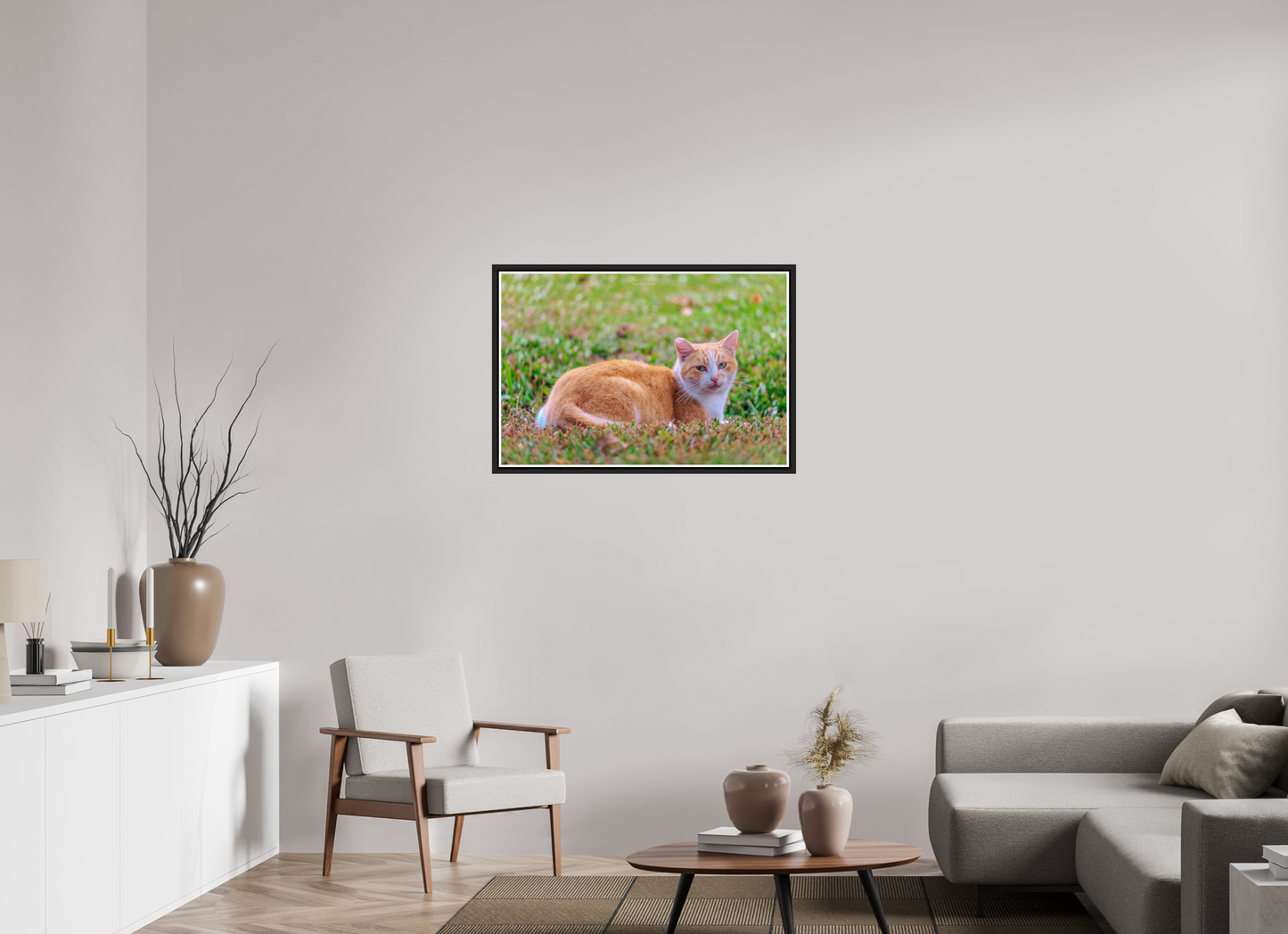 36 x 24″, Black Matte Floater Frame with Acrylic Glass (08H) Hawaii Strays in Color