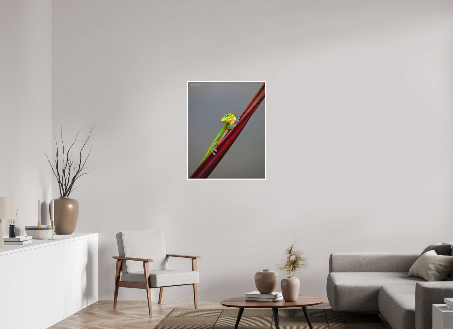 28 x 35″, Print with Matte Lamination (08R) Focused Stare