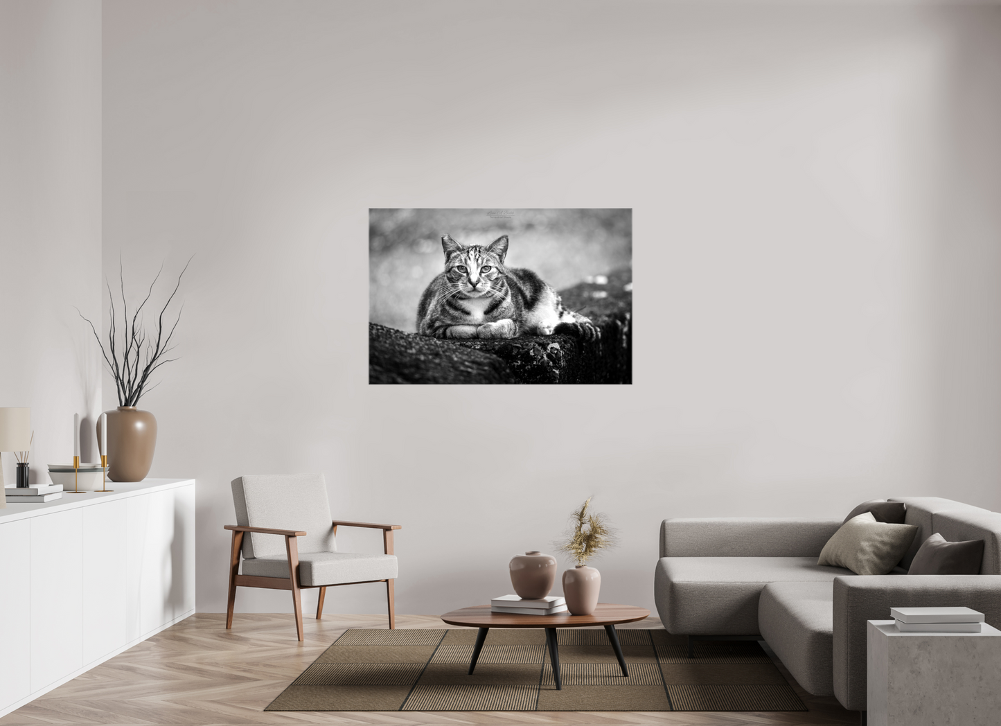 (08G) Hawaii Strays in BnW
