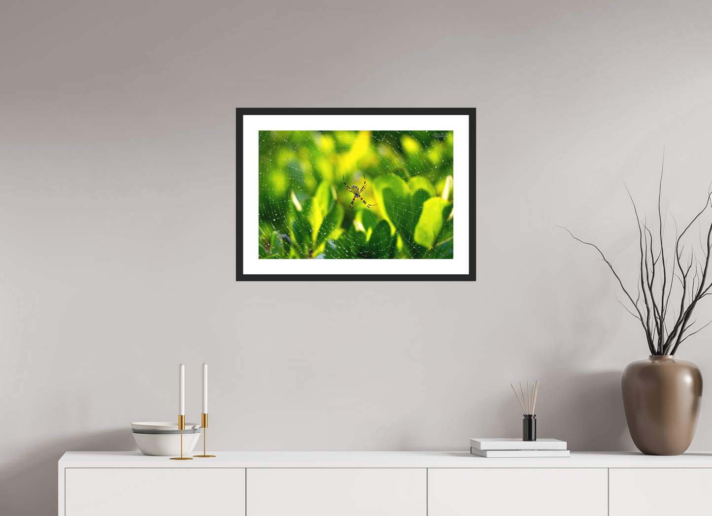 24 x 16″, Classic Black Matte Wood Frame (09C) Hawaiian Garden Spider
