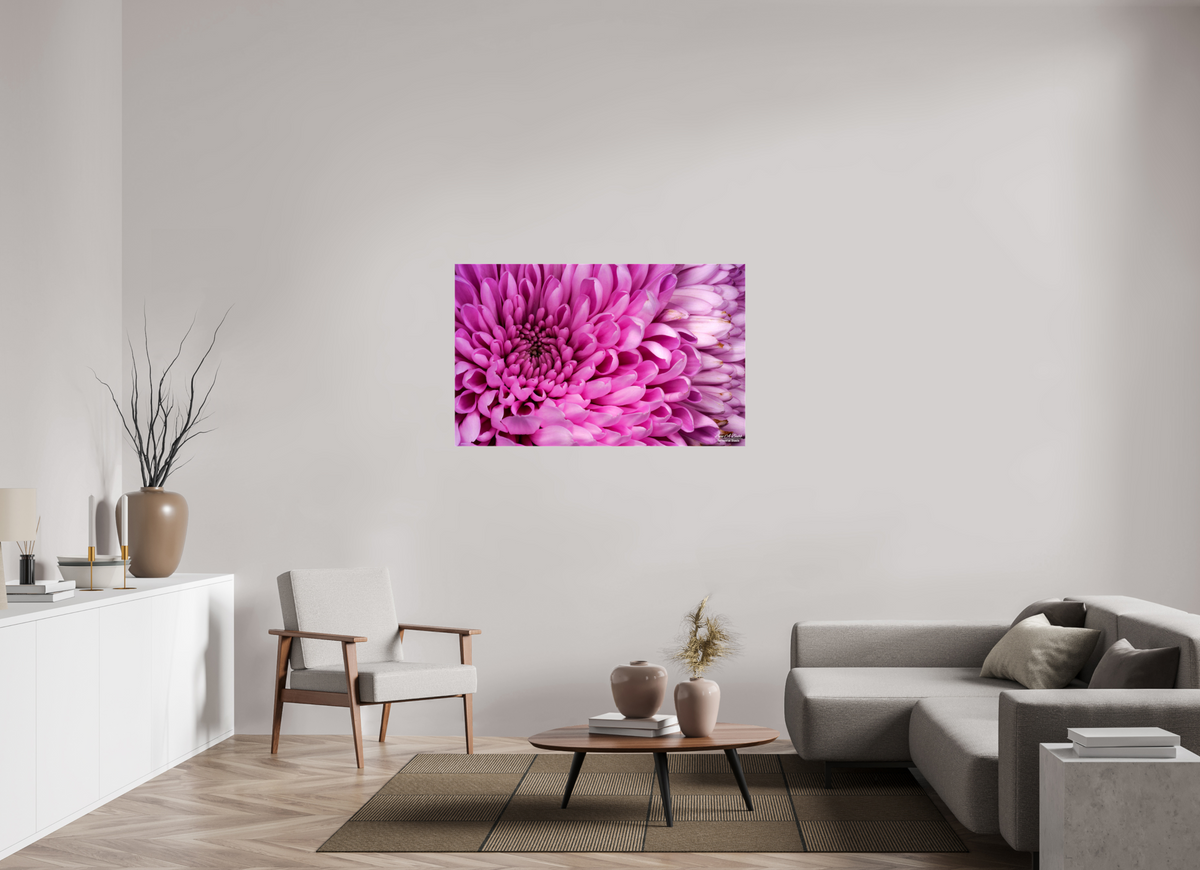 49.6 x 31″, Glossy Canvas Stretcher Frame with Mirrored Edges ???