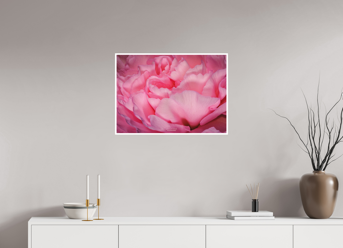 28 x 20″, Print with Matte Lamination Radiant Pink Petals
