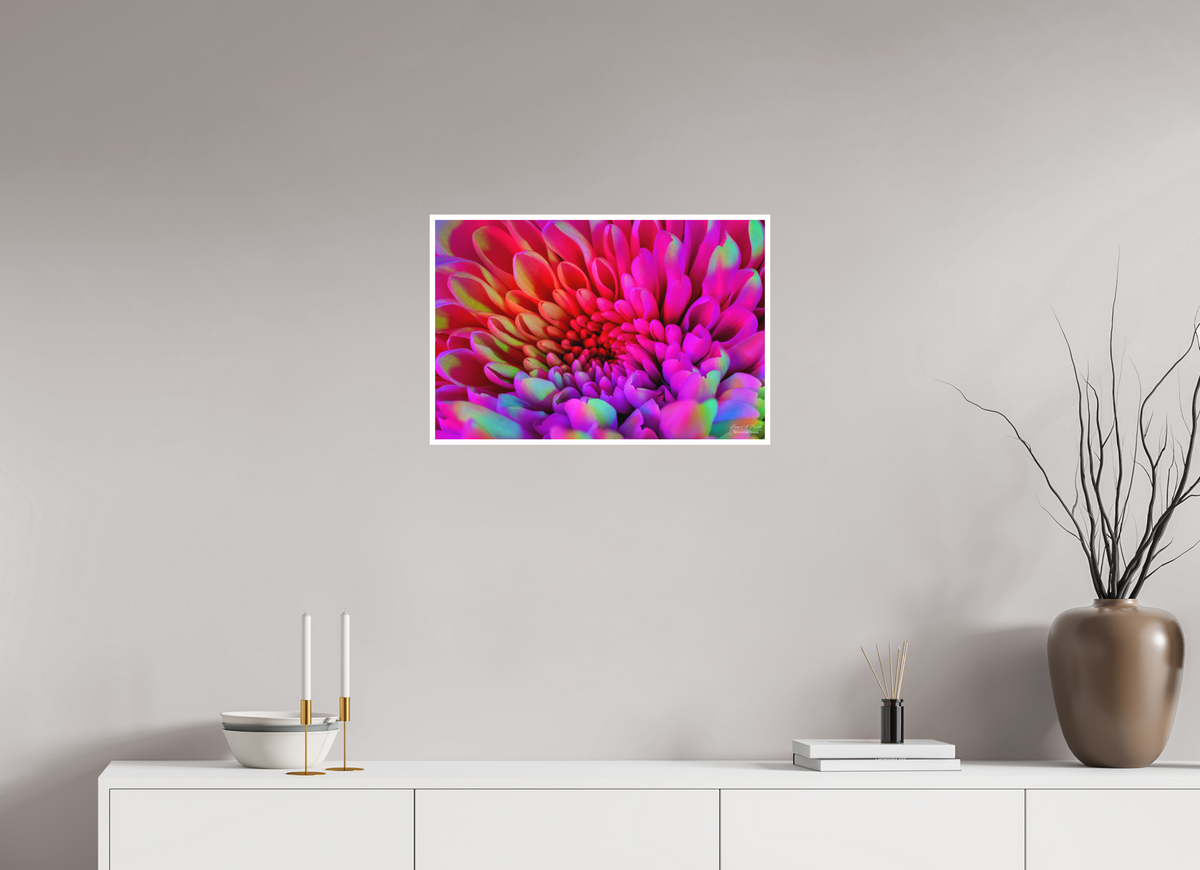 24 x 16″, Print with Matte Lamination ????