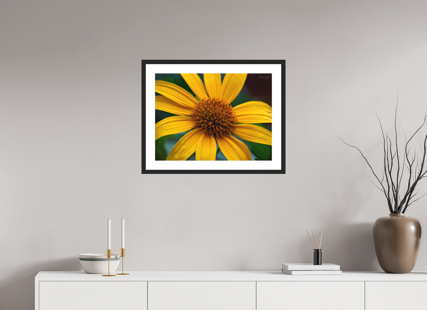 24 x 18″, Standard Black Matte Wood Frame (07A) Radiance