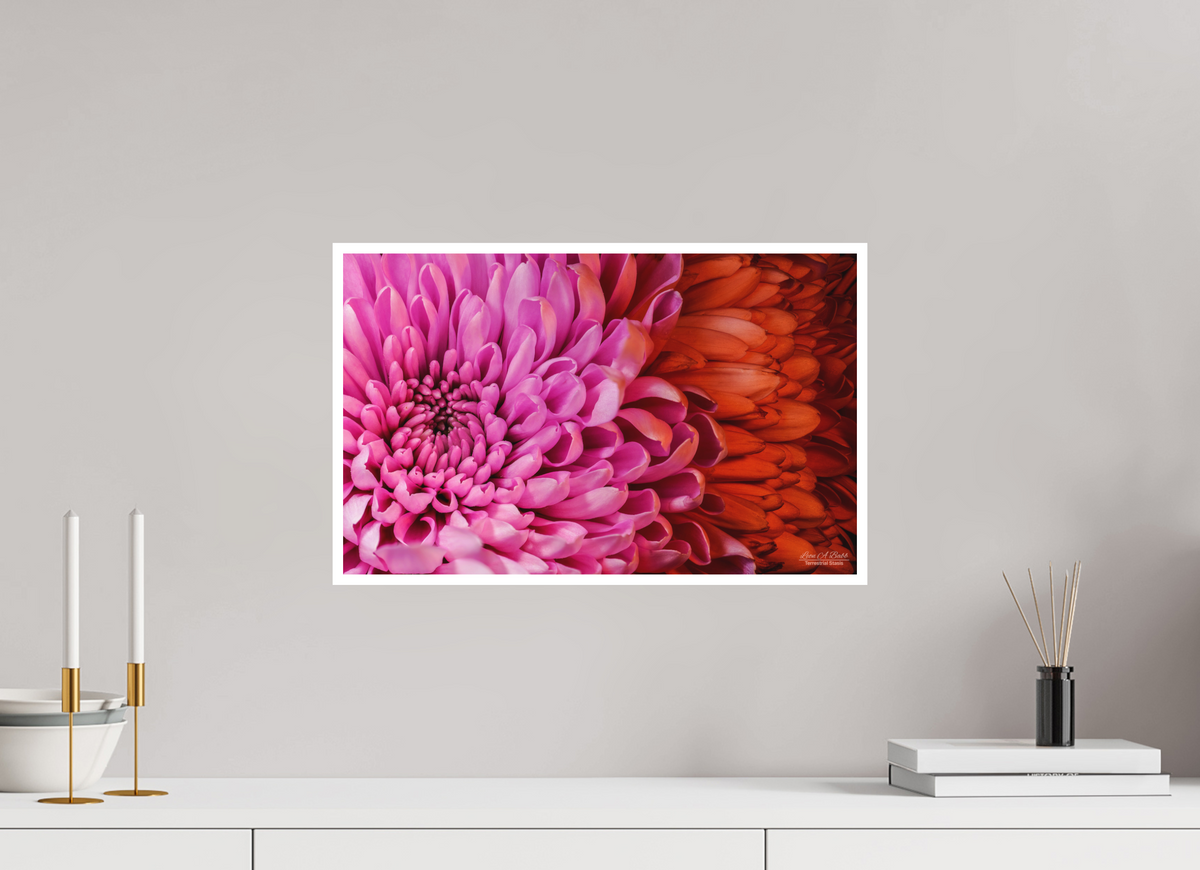 19.2 x 12″, Print with Matte Lamination ??