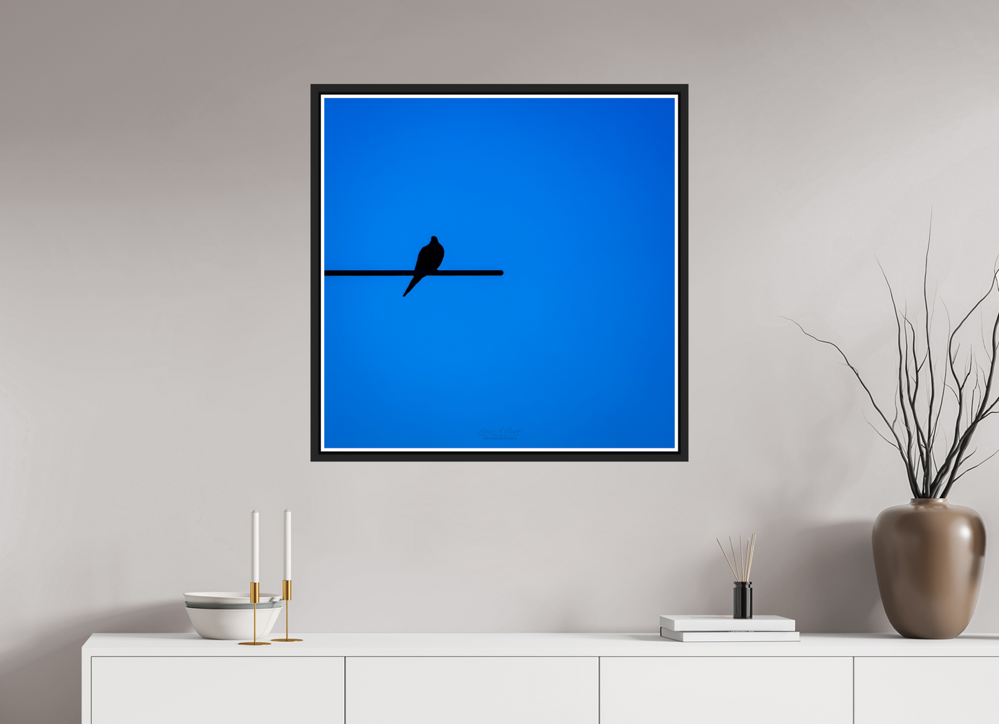30 x 30″, Black Matte Floater Frame with Acrylic Glass (08D) Bird Silhouette in Blue