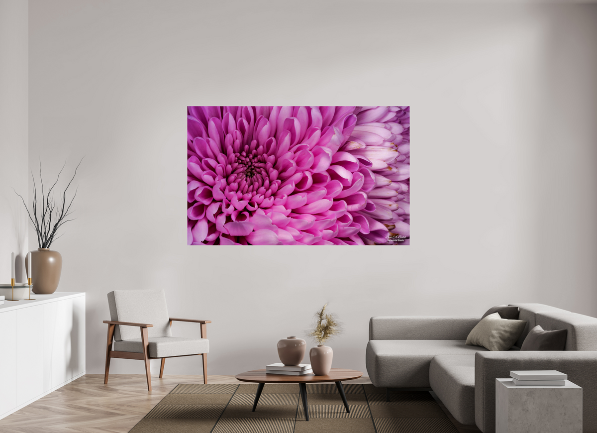 75.2 x 47″, Photo Print Under Acrylic Glass ???