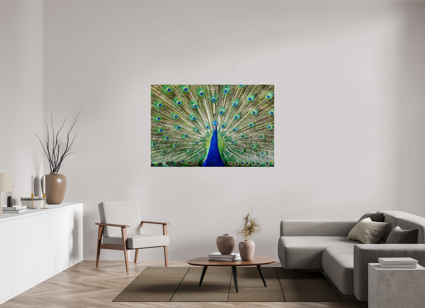 (08C) Peacock Display