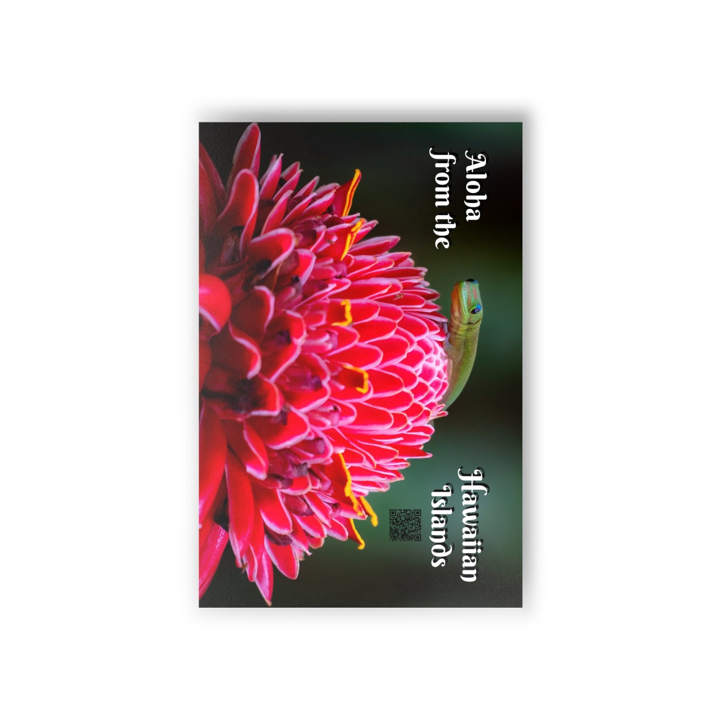 (02C) Postcard Set (10) - Hawaii Island Gecko