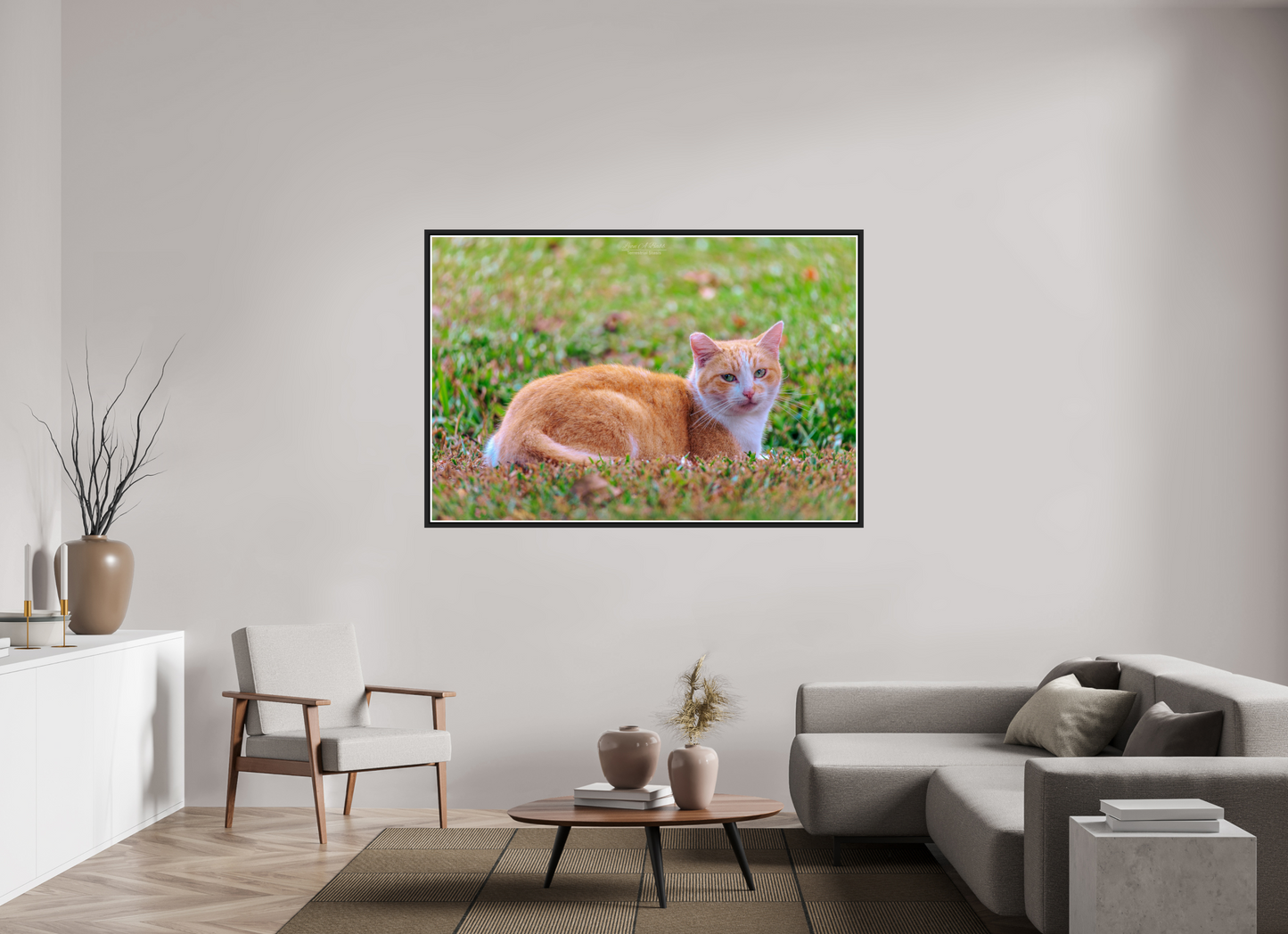 66 x 44″, Black Matte Floater Frame with Acrylic Glass (08H) Hawaii Strays in Color