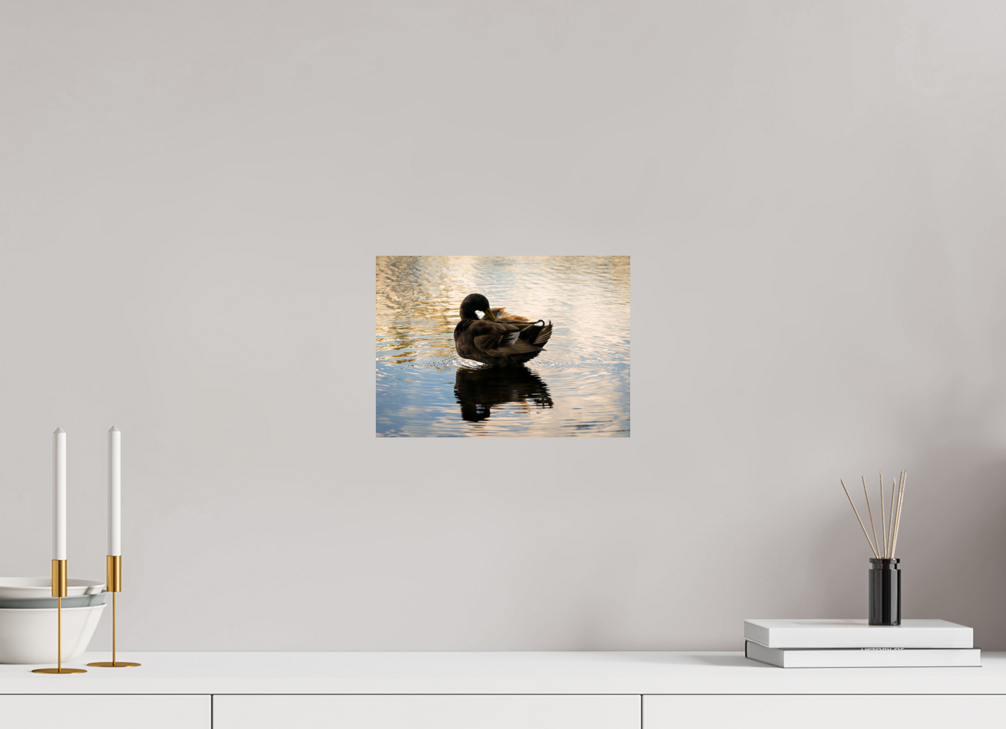 11.2 x 8″, Print with Aluminum Backing and Glossy Lamination (08C) Quiet Drift on Wailoa River