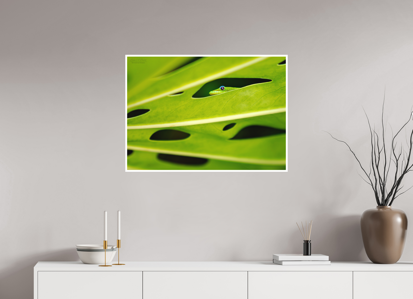33.6 x 24″, Photo Print with Matte Lamination (08E) Hidden Gecko