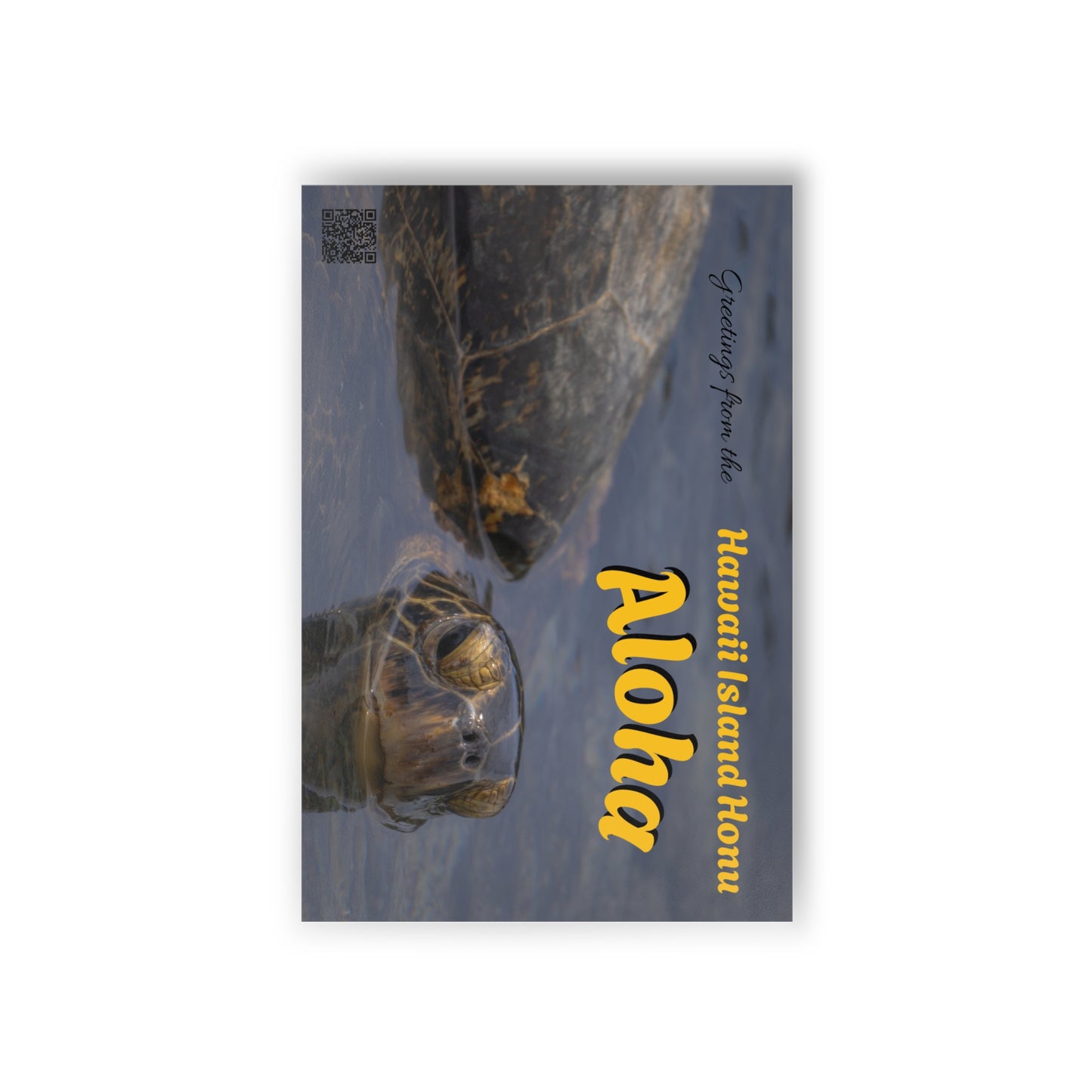 (02B) Postcard Set (10) - Hawaii Island Honu