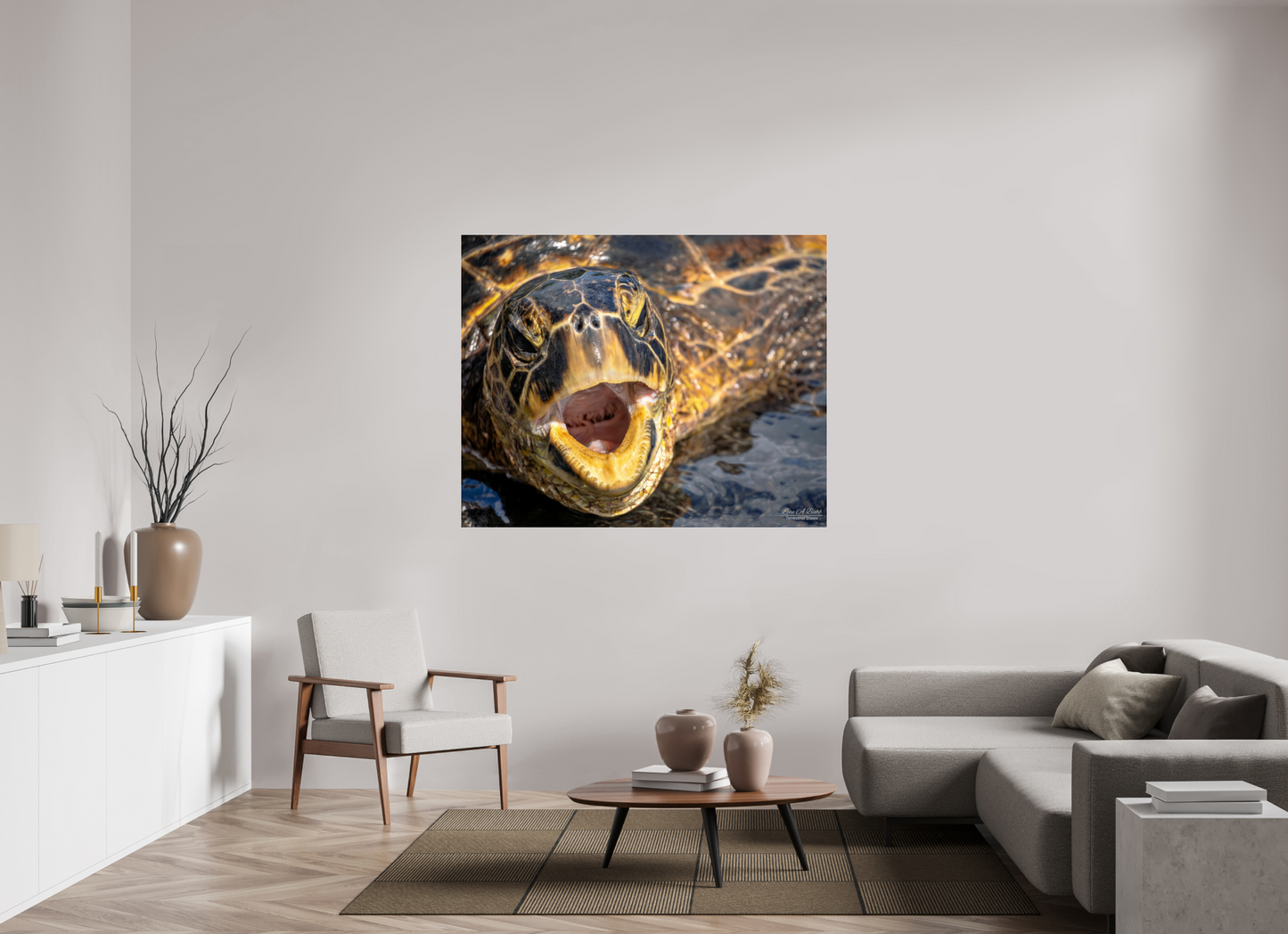 58.7 x 47″, Photo Print Under Acrylic Glass (000) Honu’s Serenade