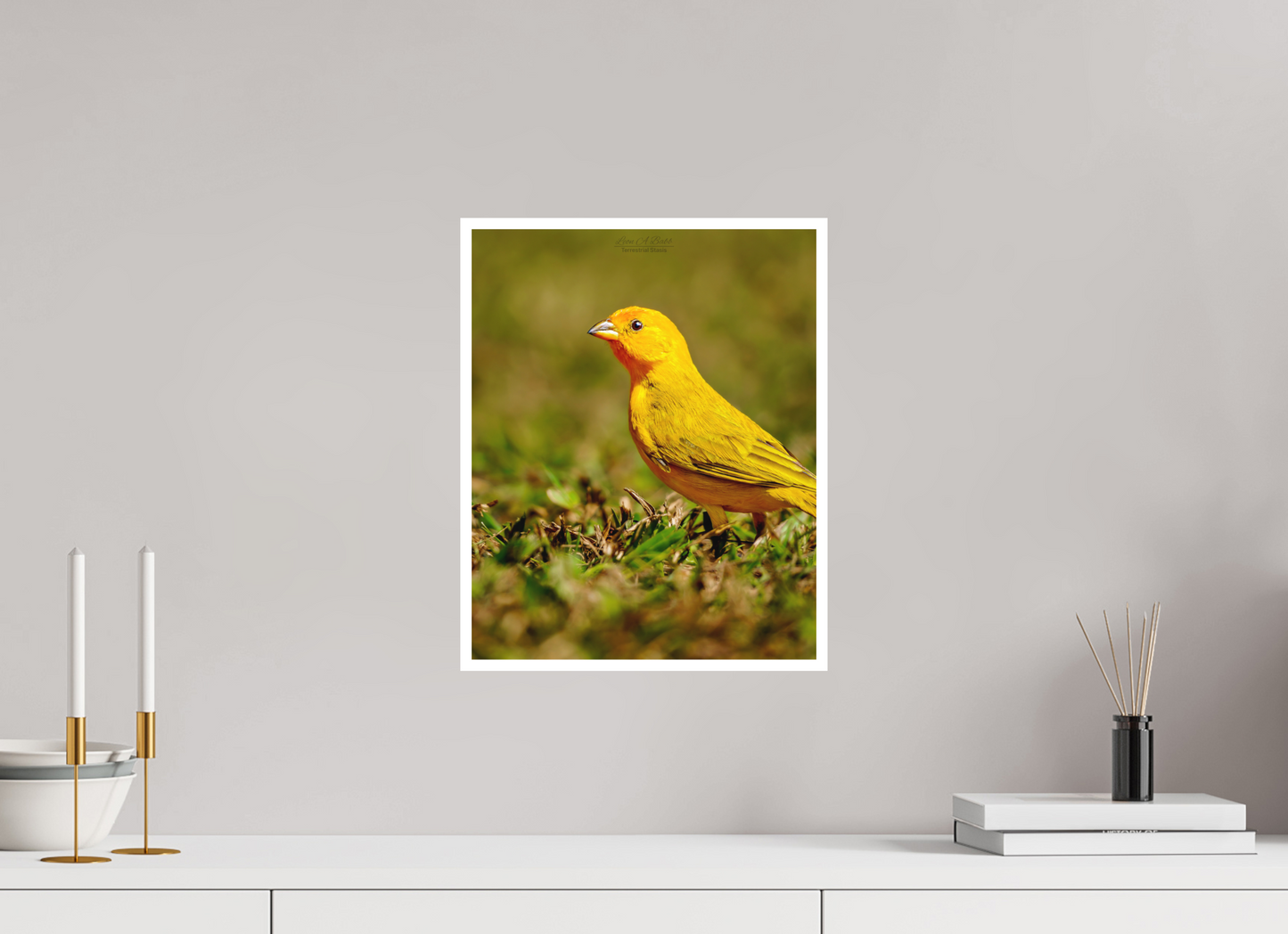 12 x 15″, Photo Print with Matte Lamination (08DD) Halcyon