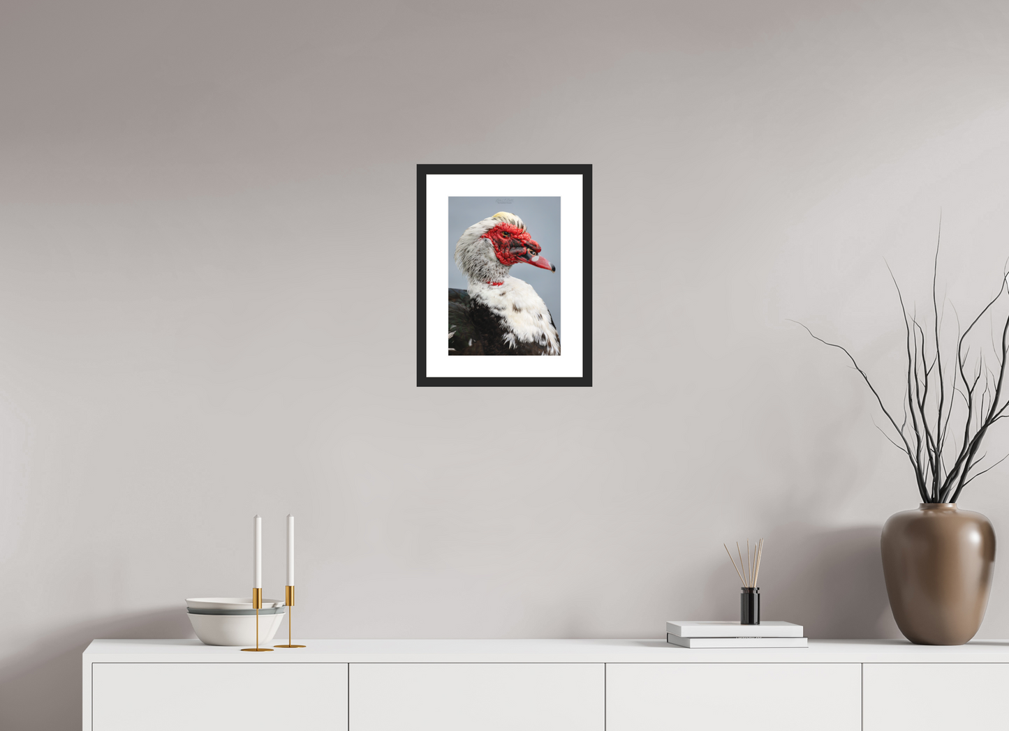 10 x 14″, Classic Black Matte Wood Frame (08S) Male Muscovy Duck Portrait