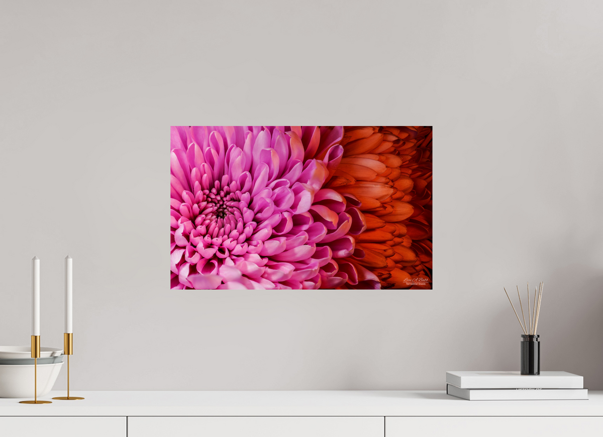 19.2 x 12″, Print with Aluminum Backing and Glossy Lamination ??