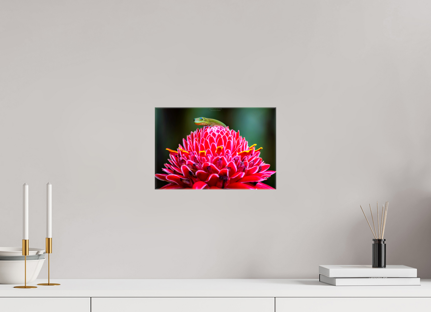 (08F) Gecko on a flower