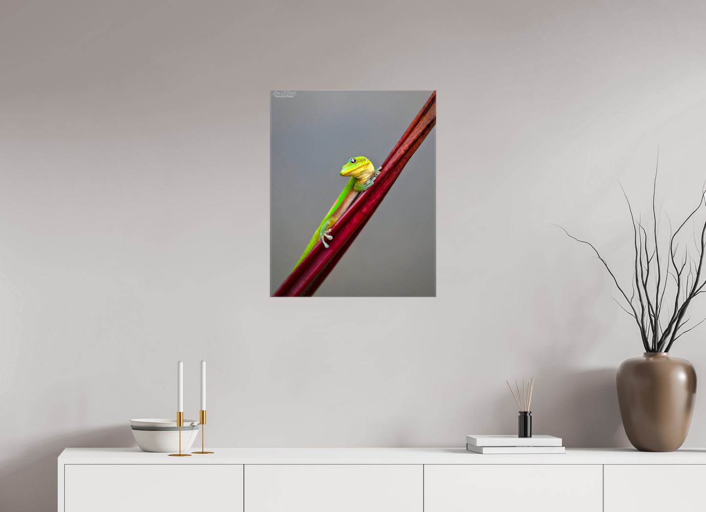 20 x 25″, Glossy Canvas Stretcher Frame with Mirrored Edges (08R) Focused Stare