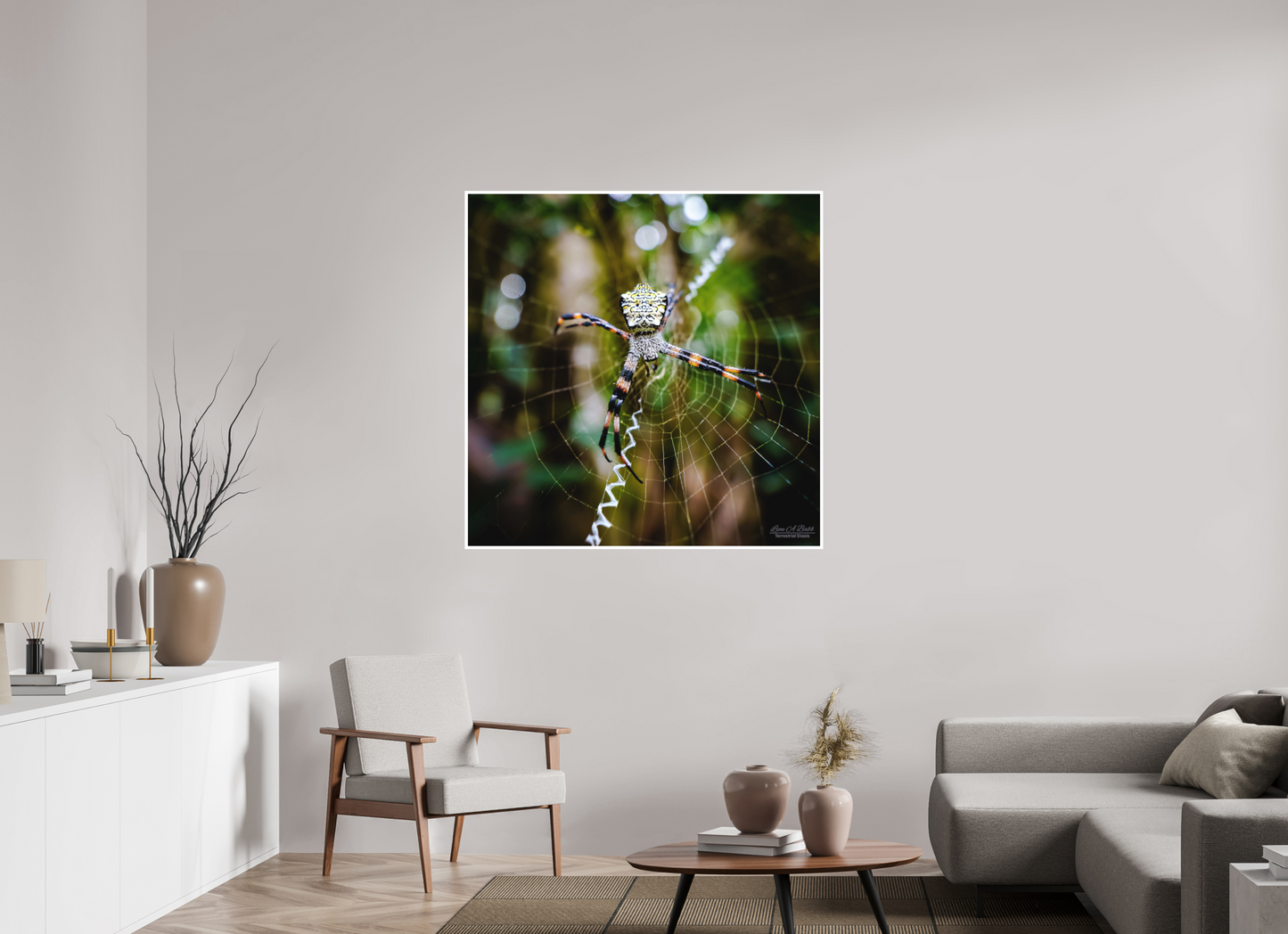 45 x 45″, Photo Print with Matte Lamination (09A) Spider on the trail