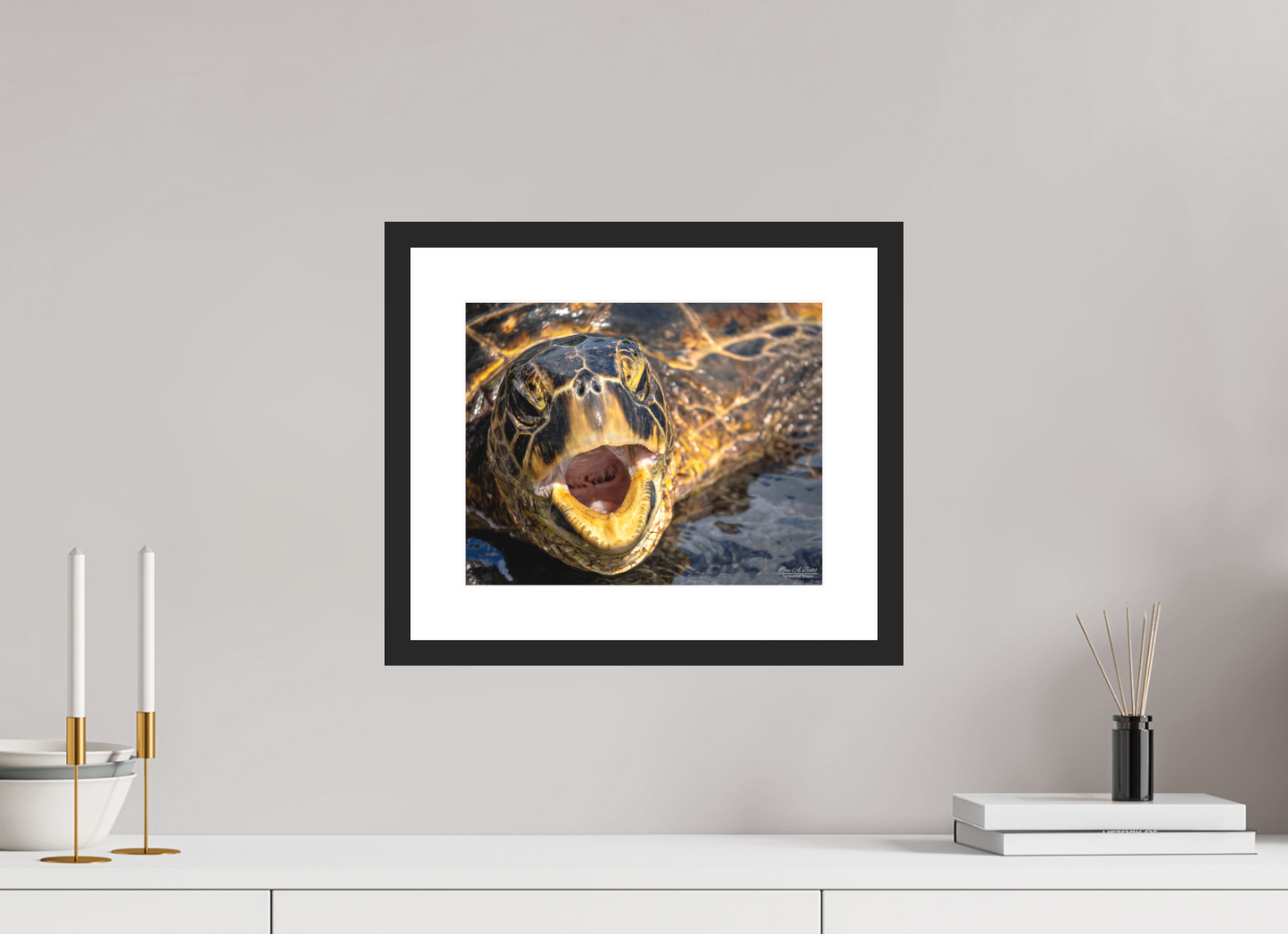 12.5 x 10″, Classic Black Matte Wood Frame (000) Honu’s Serenade