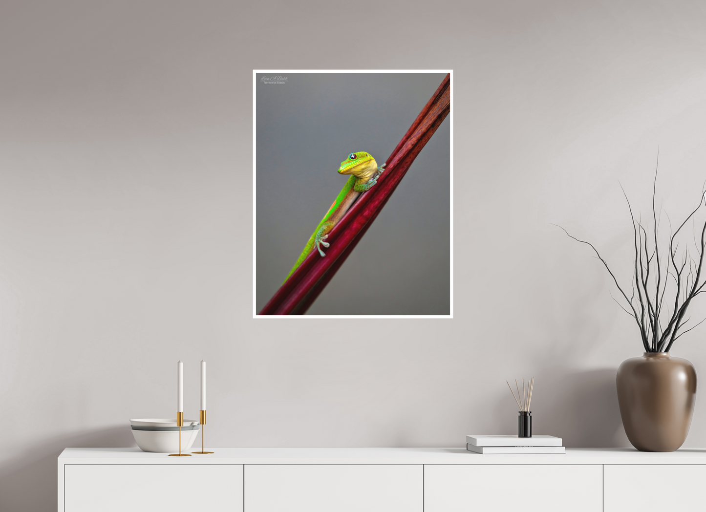 24 x 30″, Print with Matte Lamination (08R) Focused Stare