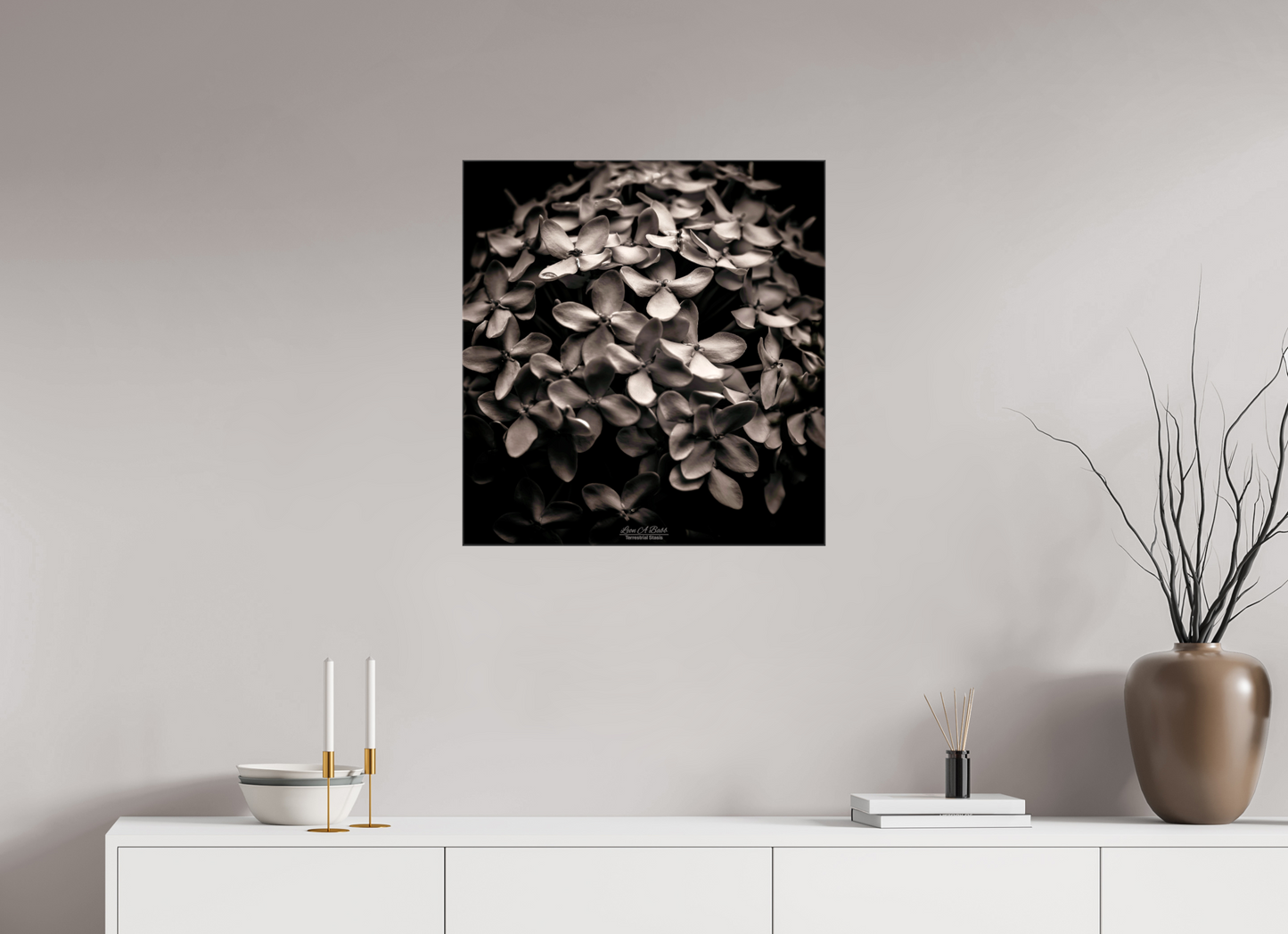 (07D) Monochrome Garden