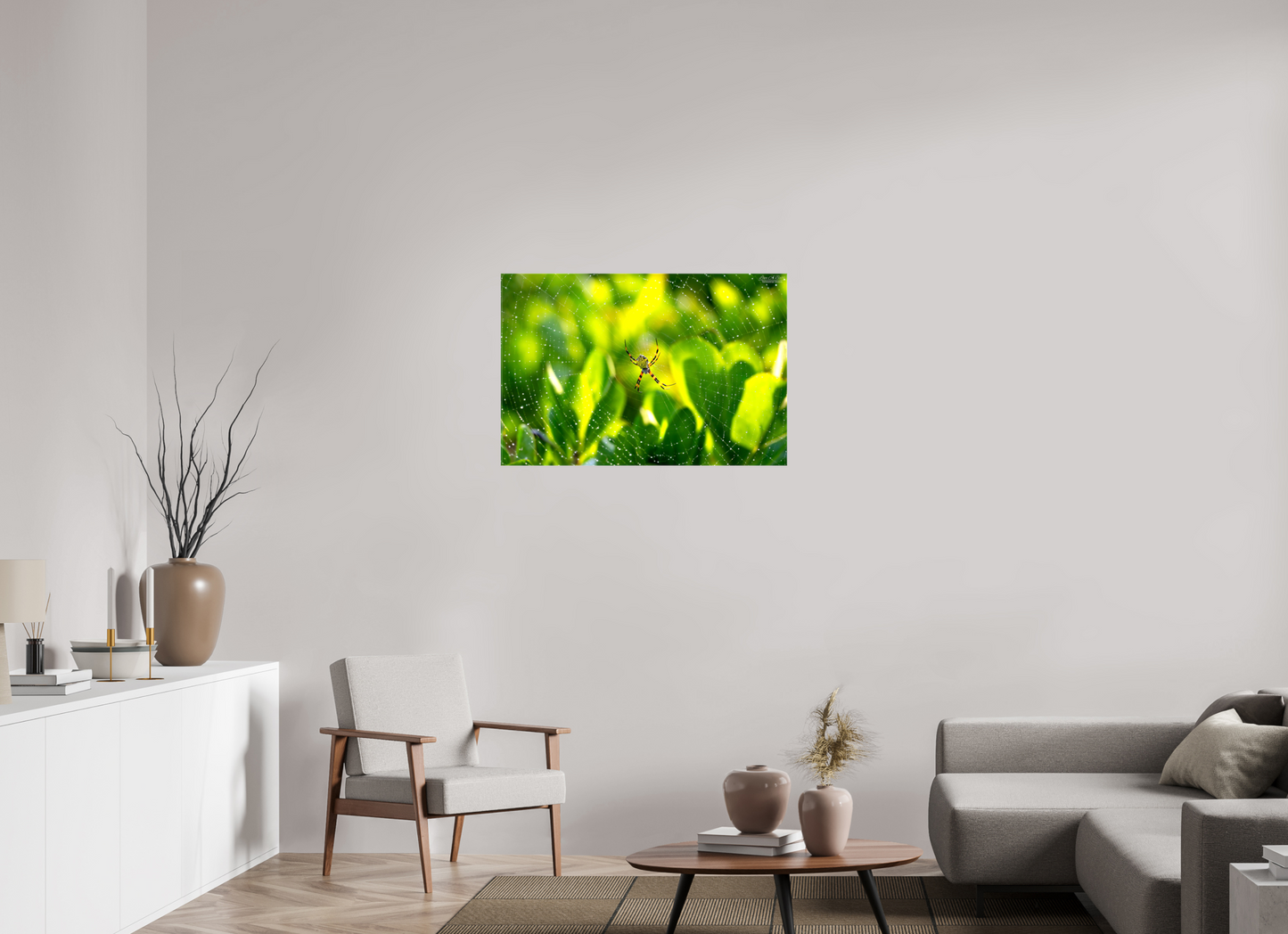 36 x 24″, Glossy Canvas Stretcher Frame with Mirrored Edges (09C) Hawaiian Garden Spider