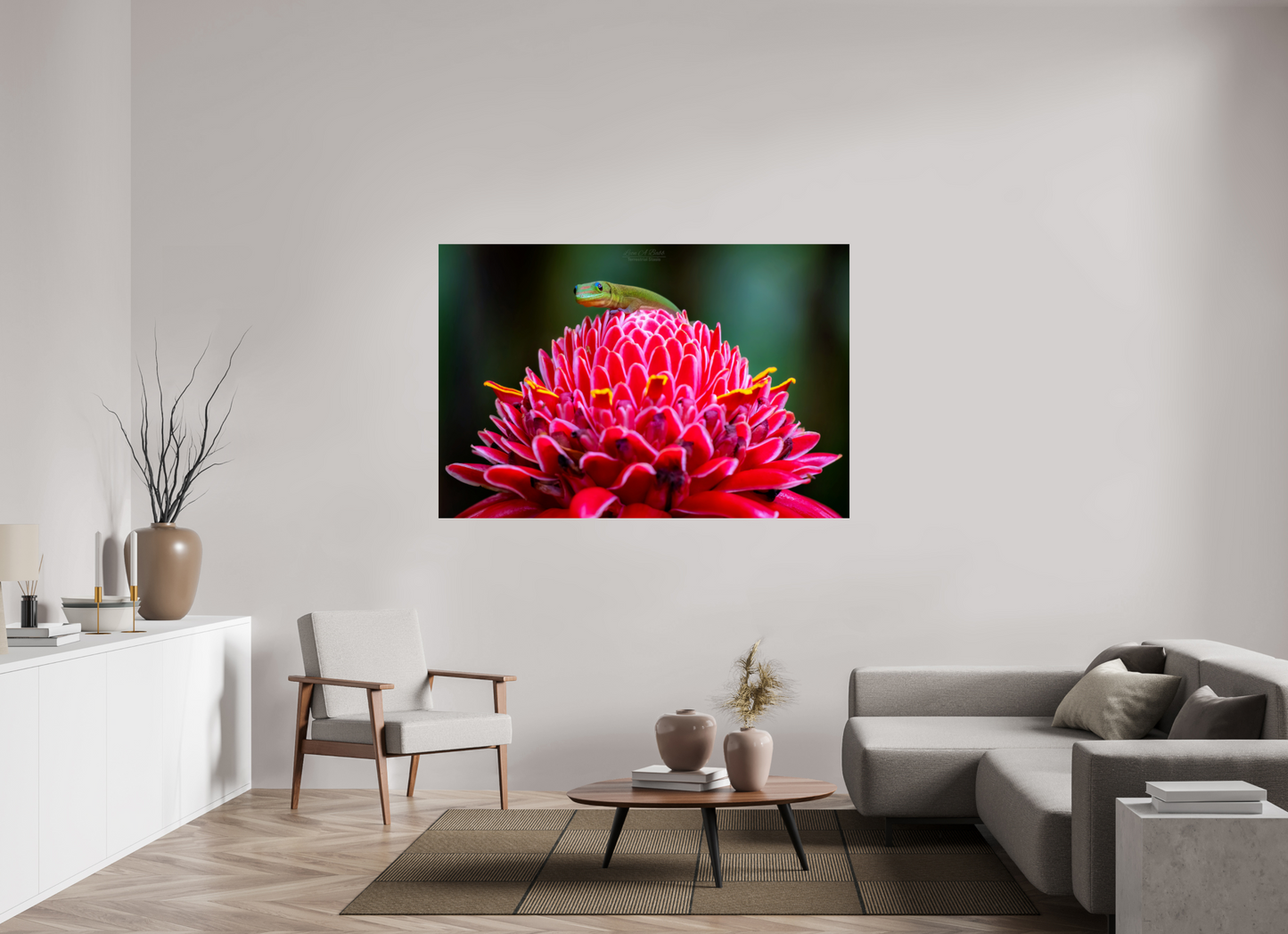 (08F) Gecko on a flower