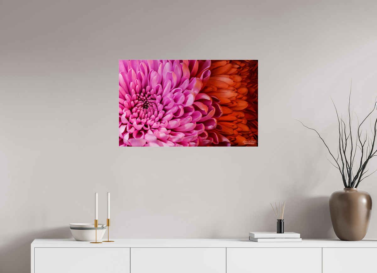 32 x 20″, Photo Print Under Acrylic Glass ??