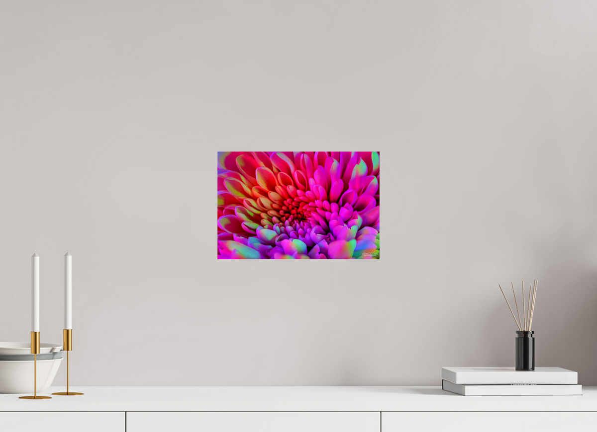 12 x 8″, Print with Aluminum Backing and Glossy Lamination ????