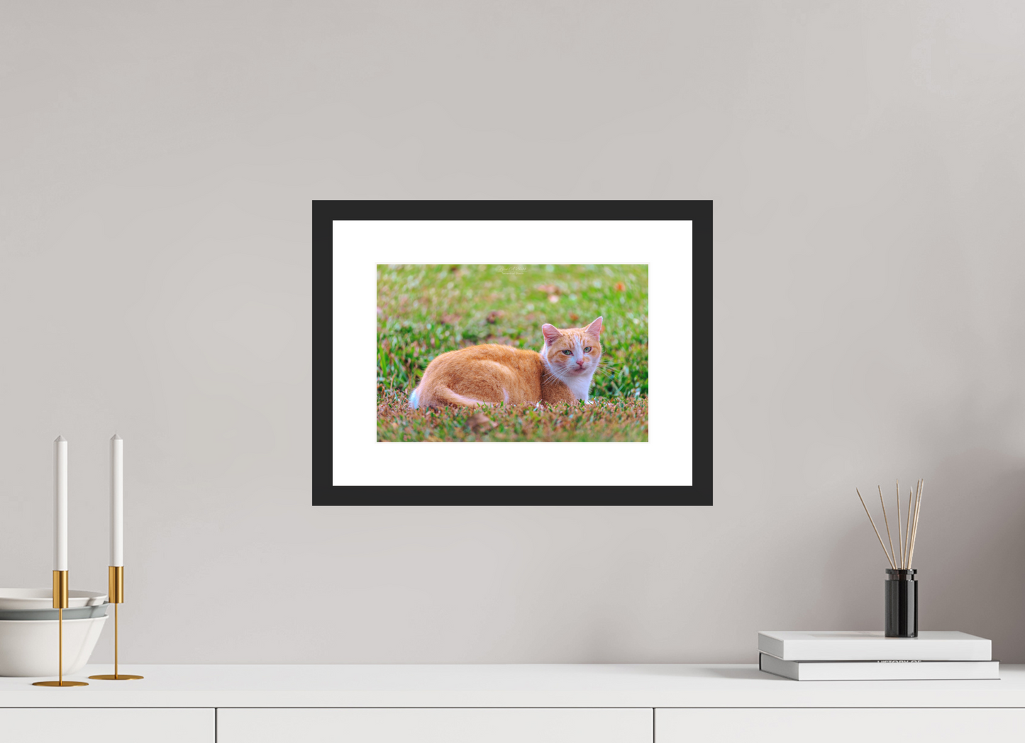 12 x 8″, Standard Black Matte Wood Frame (08I) Spirit of the Park