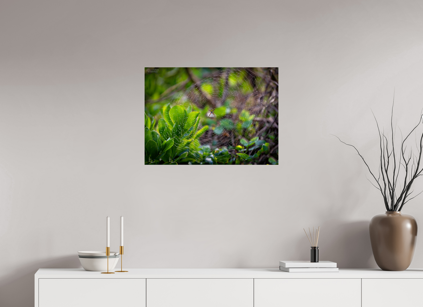 27.5 x 20″, Photo Print Under Acrylic Glass Hawaiian Garden Spider Web