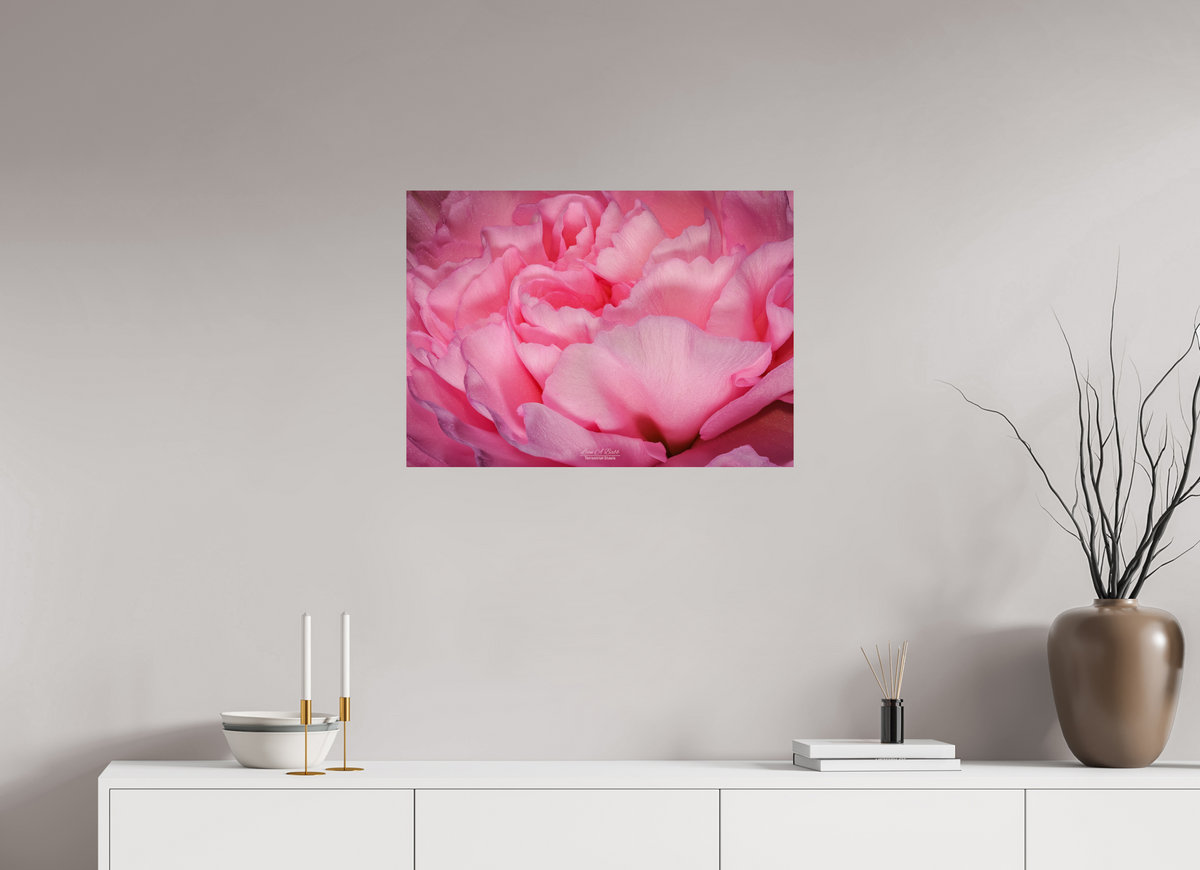 28 x 20″, Print with Aluminum Backing and Glossy Lamination Radiant Pink Petals