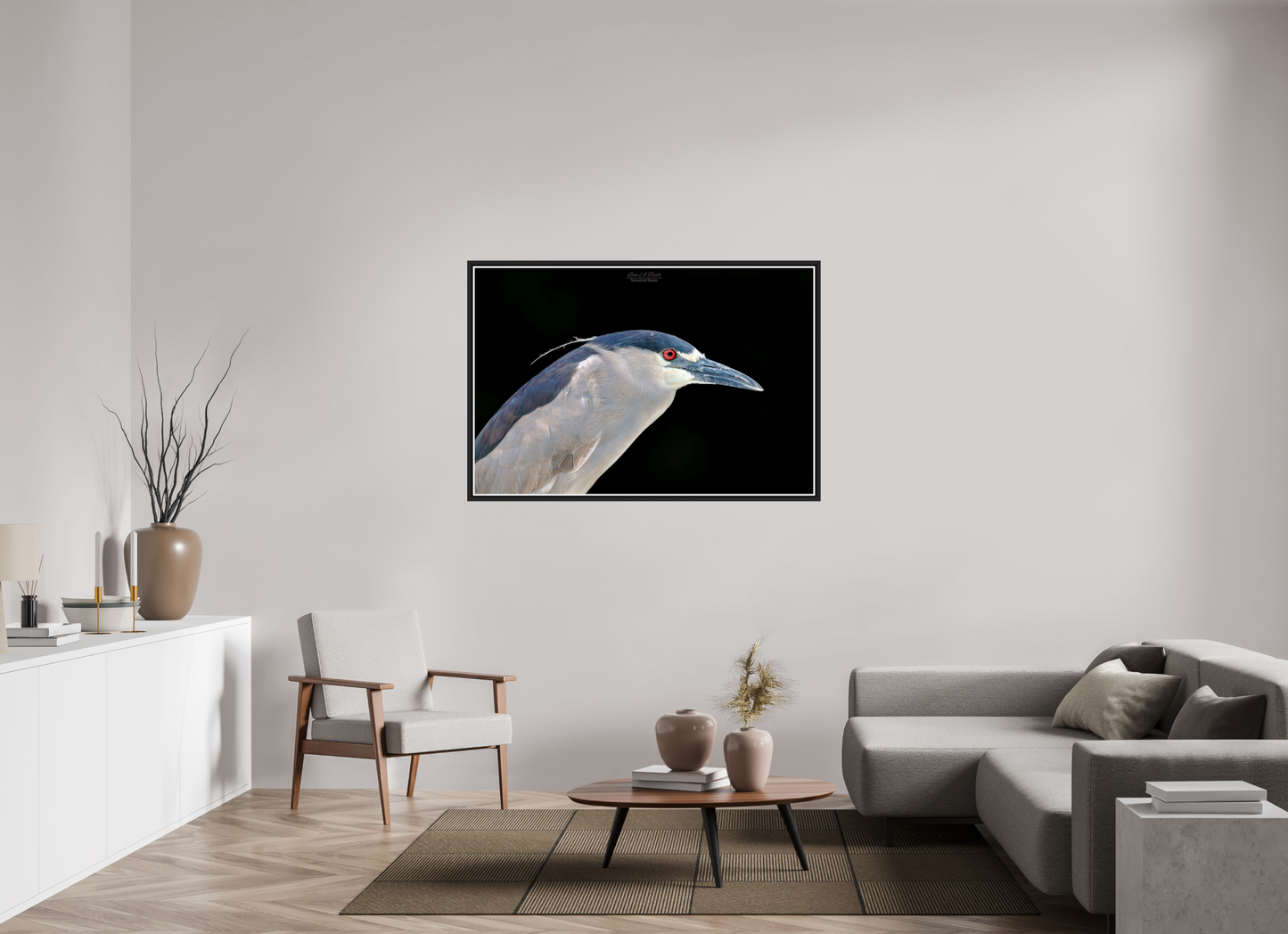 54 x 36″, Black Matte Floater Frame with Acrylic Glass (08B) Black-crowned Night Heron