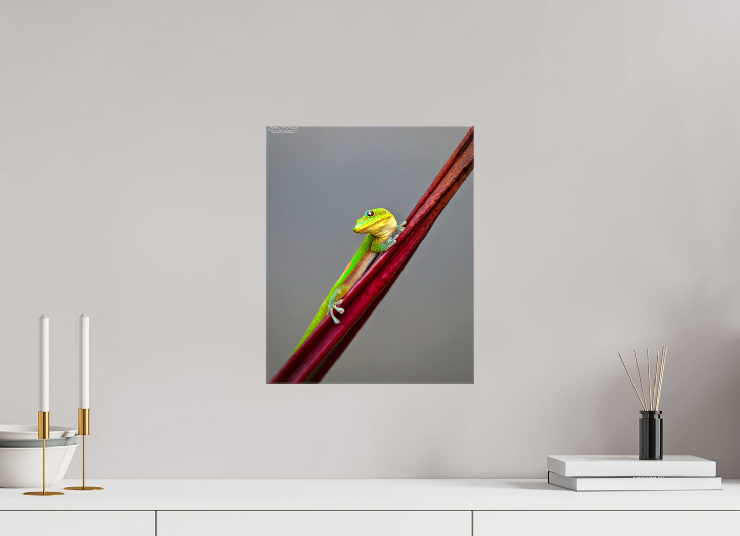 12 x 15″, Glossy Canvas Stretcher Frame with Mirrored Edges (08R) Focused Stare