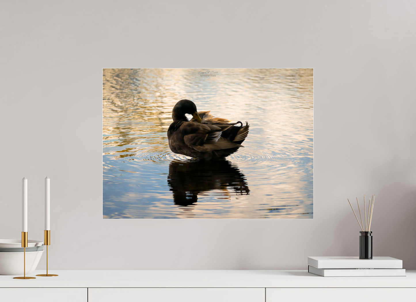 22.4 x 16″, Photo Print Under Acrylic Glass (08C) Quiet Drift on Wailoa River