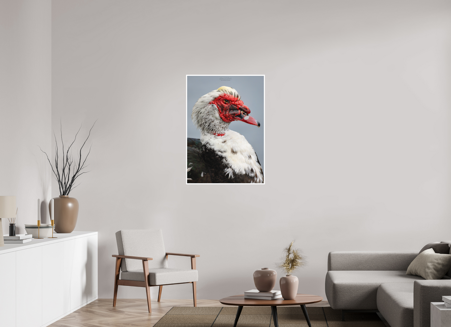 28 x 39.2″, Print with Matte Lamination (08S) Male Muscovy Duck Portrait